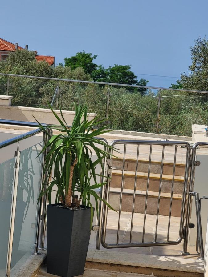 Apartment Maslina